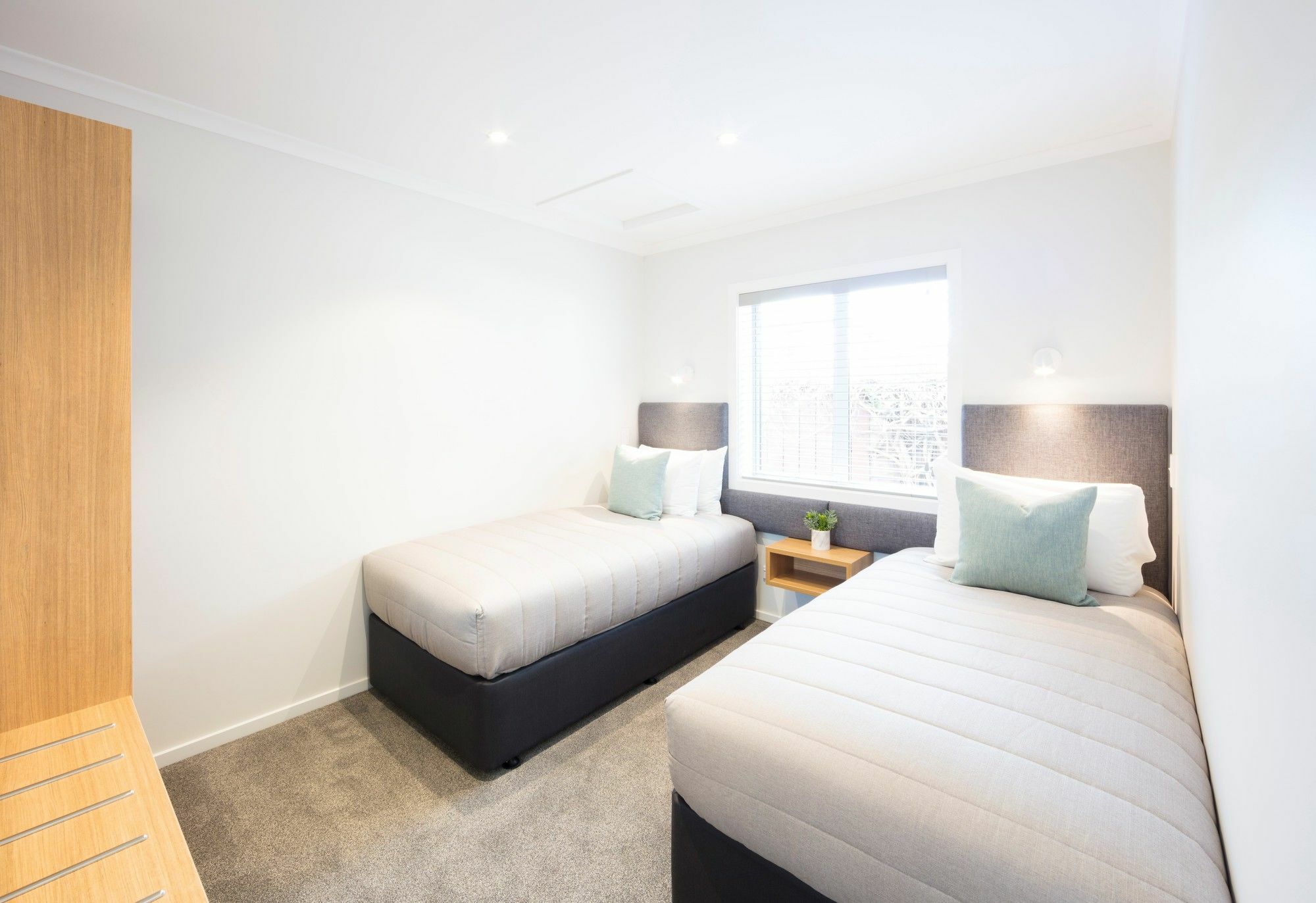 Beechwood Boutique Accommodation Ντούνεντιν Εξωτερικό φωτογραφία