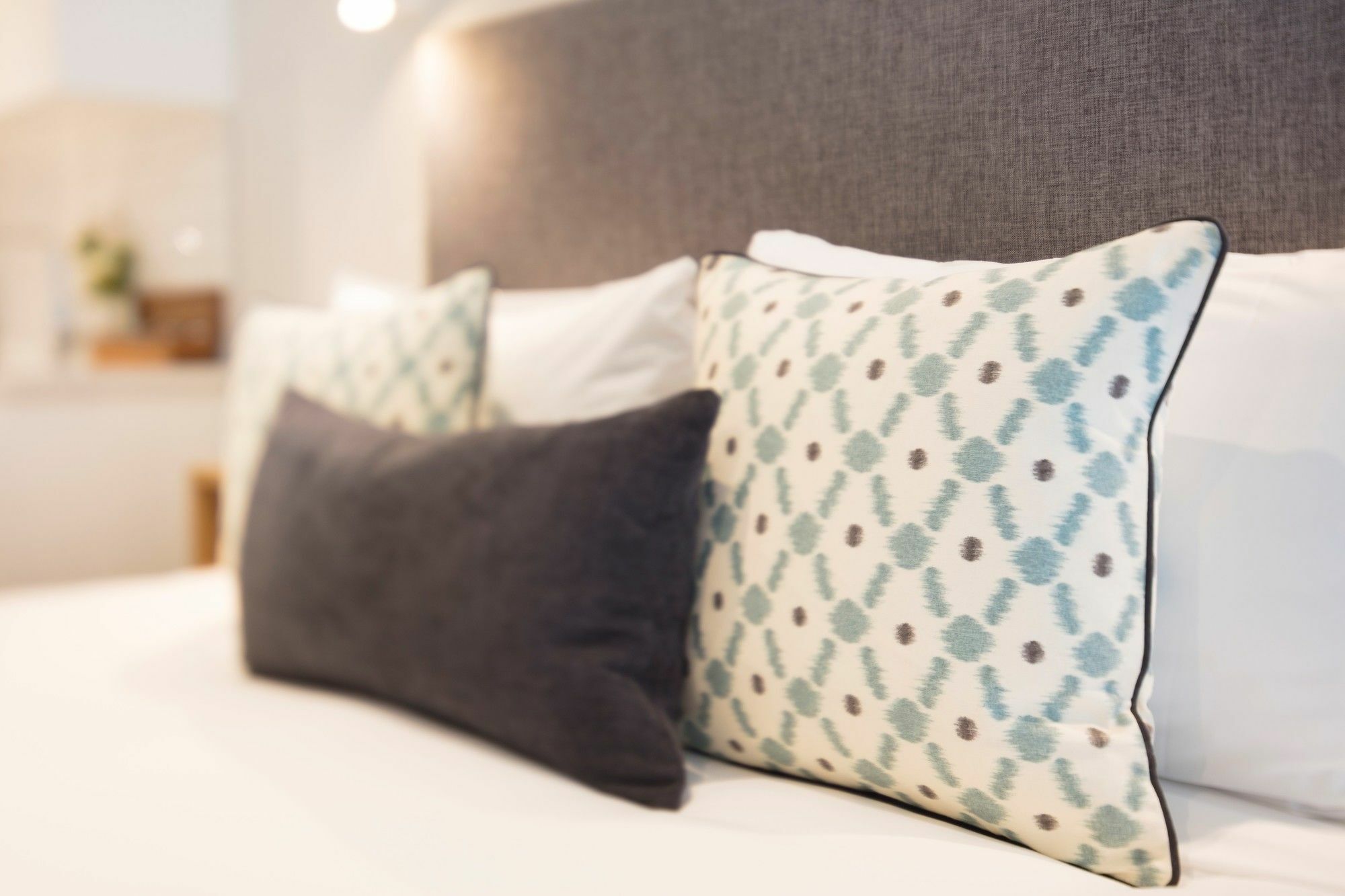 Beechwood Boutique Accommodation Ντούνεντιν Εξωτερικό φωτογραφία